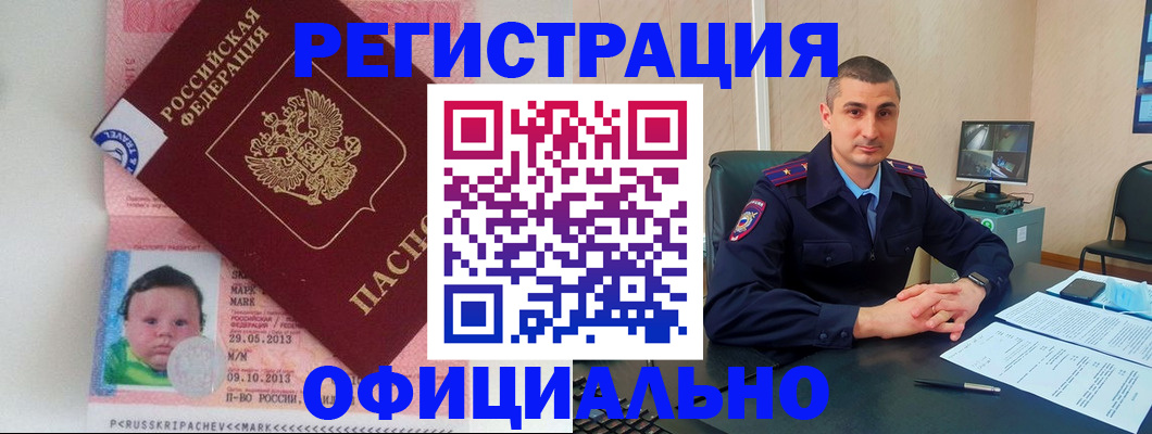 прописка поиск в Пионерском